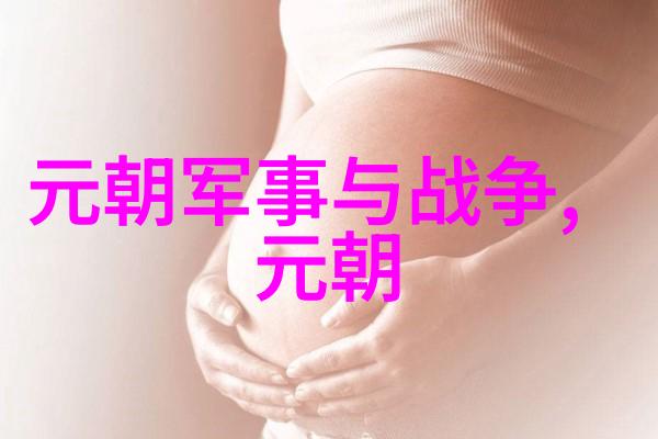 元朝大将军张弘范为何被称为是汉奸