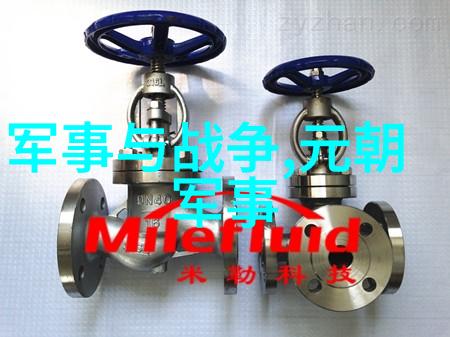 亲兄弟为皇大不同武宗滥政